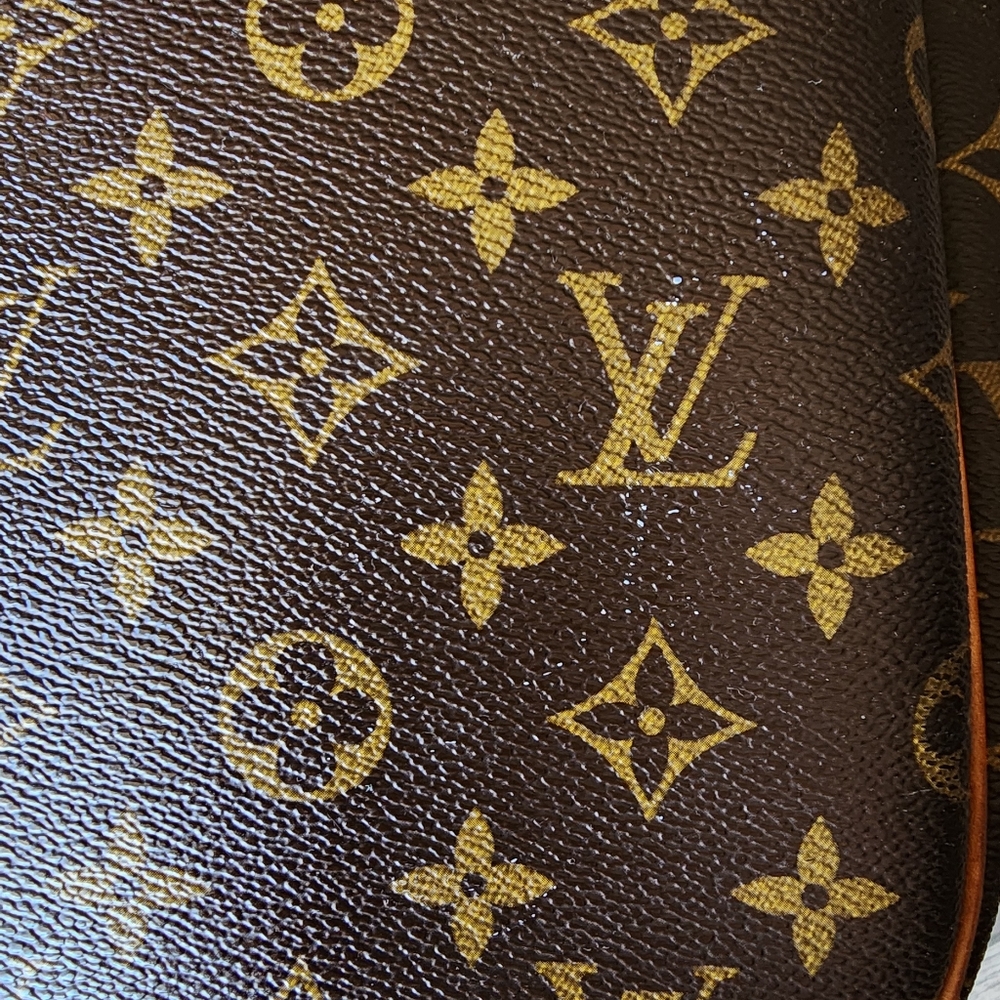 Louis Vuitton Excursion Handbag #travel #overnight  bag - Picture 8 of 16